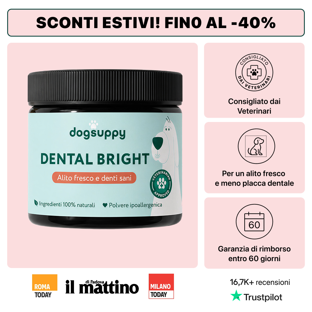 Dental Bright Offerta | Polvere 100% Naturale | 60 dosi