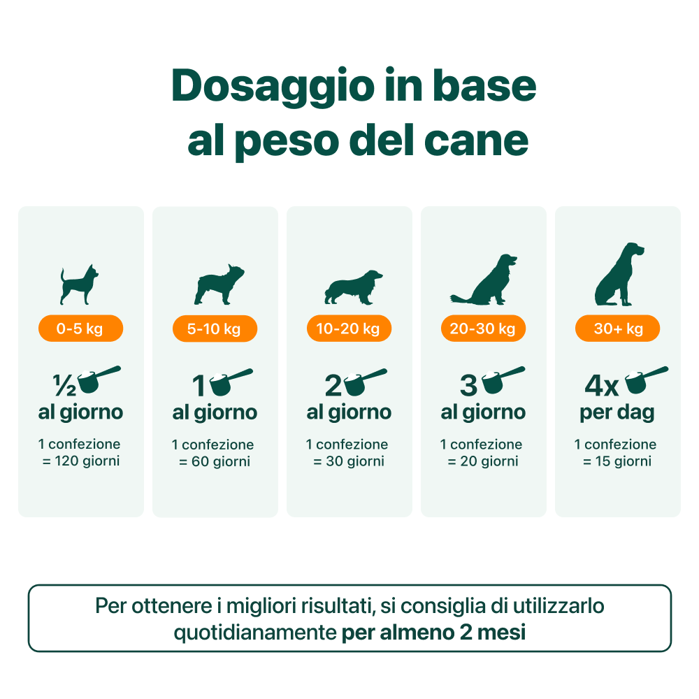 Dental Bright Offerta | Polvere 100% Naturale | 60 dosi