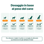 Dental Bright Offerta | Polvere 100% Naturale | 60 dosi