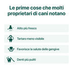 Dental Bright Offerta | Polvere 100% Naturale | 60 dosi