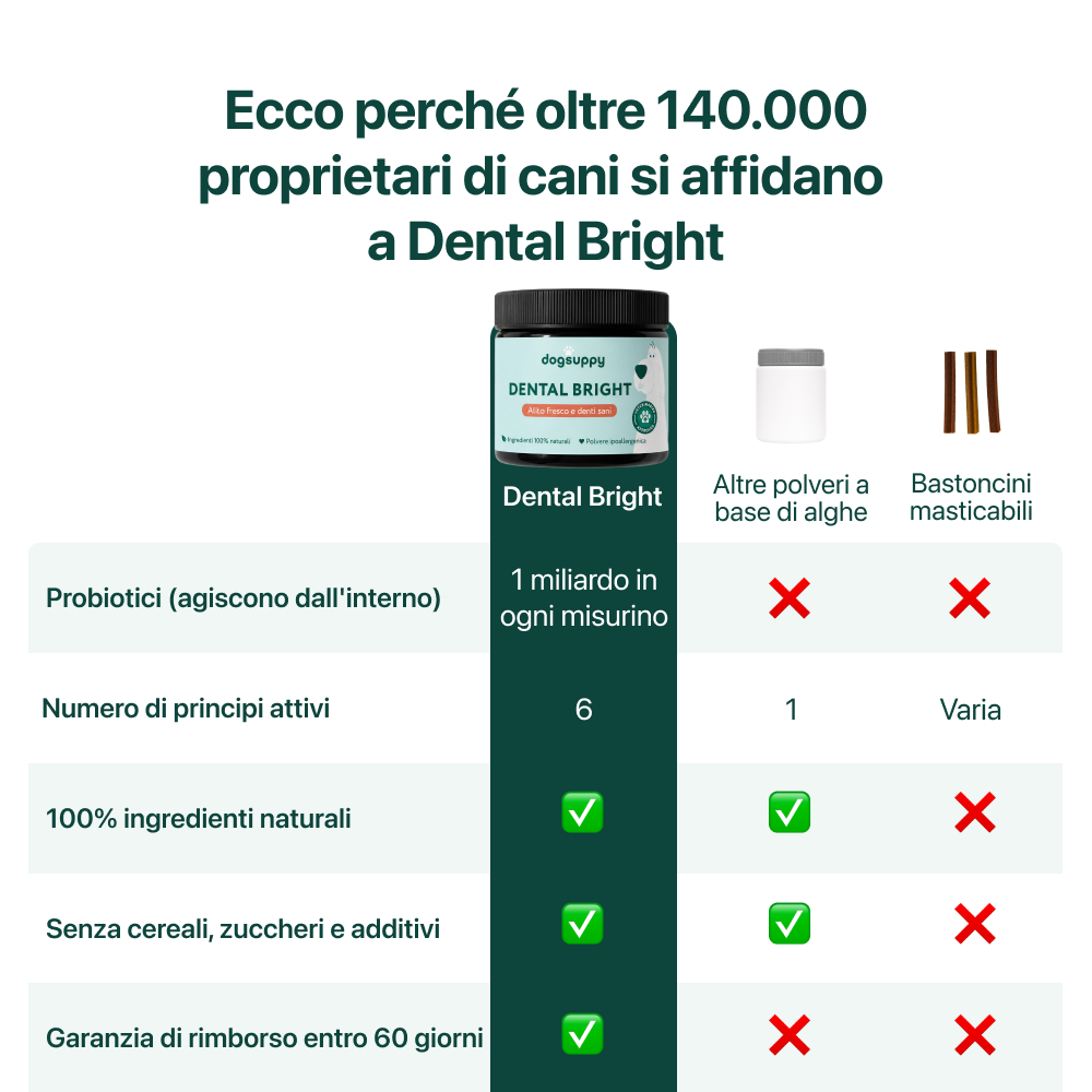 Dental Bright Offerta | Polvere 100% Naturale | 60 dosi