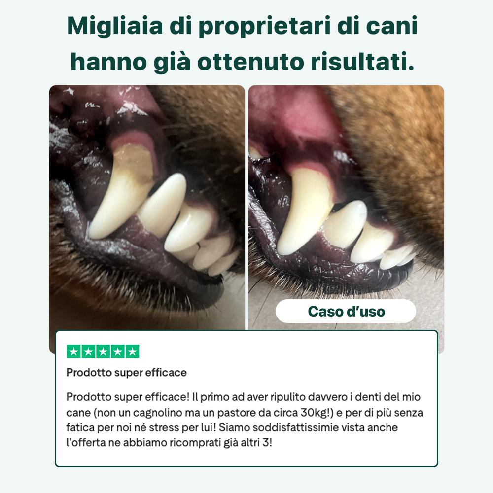 Dental Bright Offerta | Polvere 100% Naturale | 60 dosi