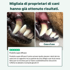 Dental Bright Offerta | Polvere 100% Naturale | 60 dosi