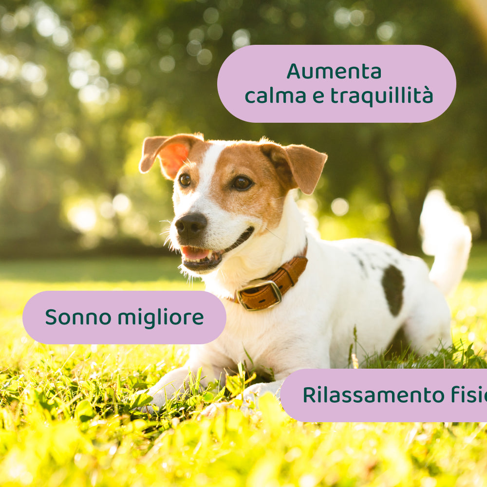 Ansia & Stress | 100% Naturale | 60 integratori🌿