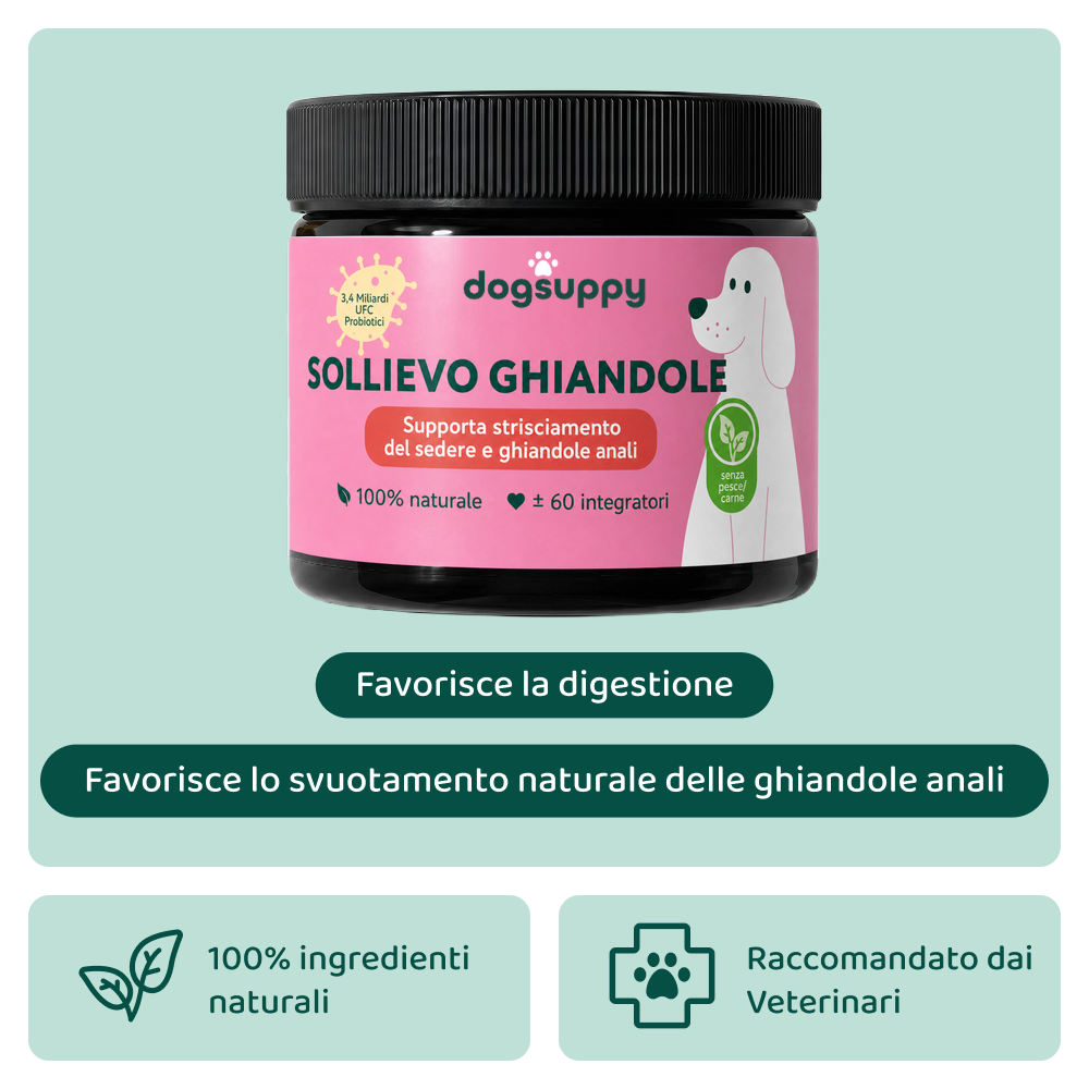 Sollievo Ghiandole🌿 | 100% Naturale | 60 integratori