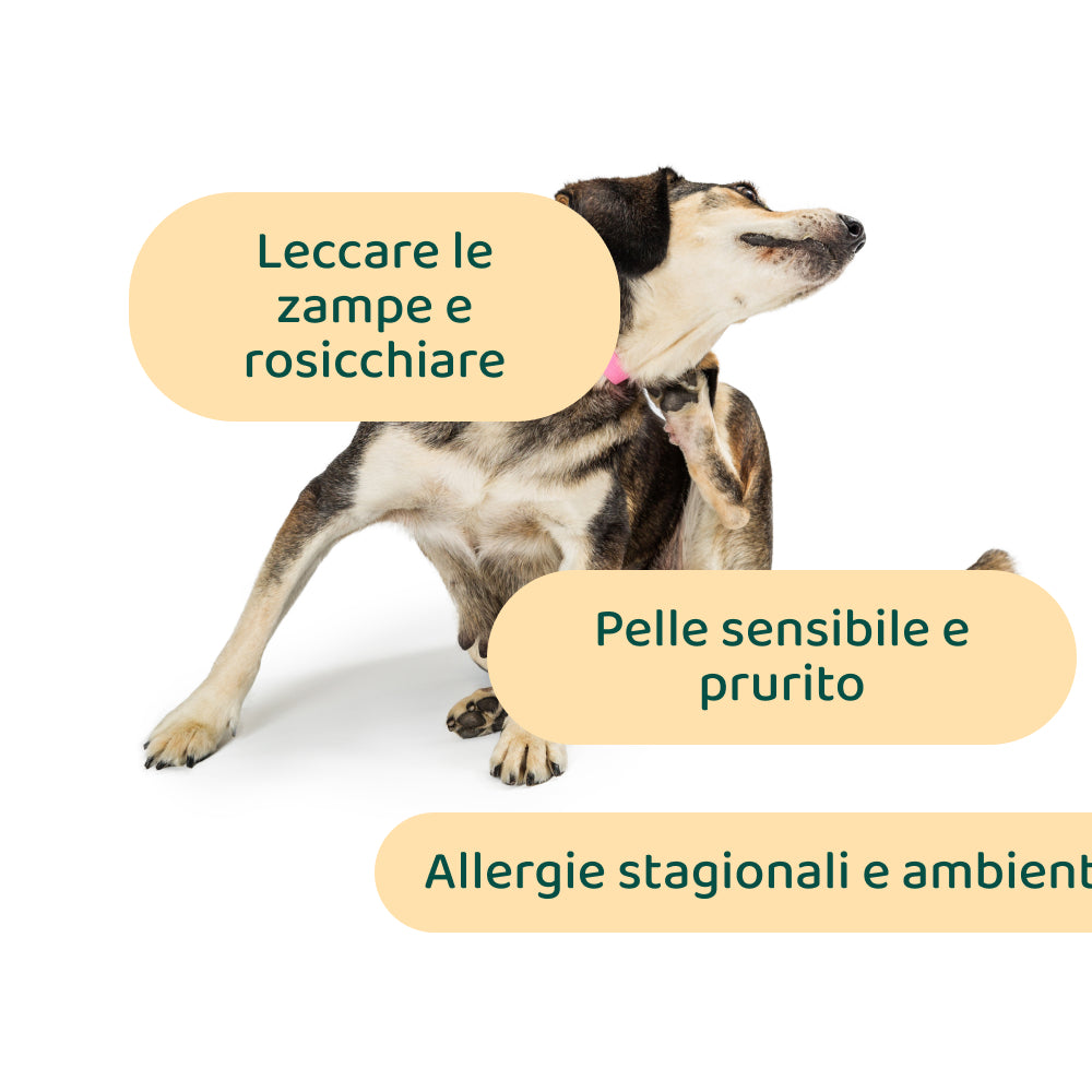 Bundle Risparmio:  Denti & Prurito