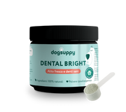 Dental Bright™