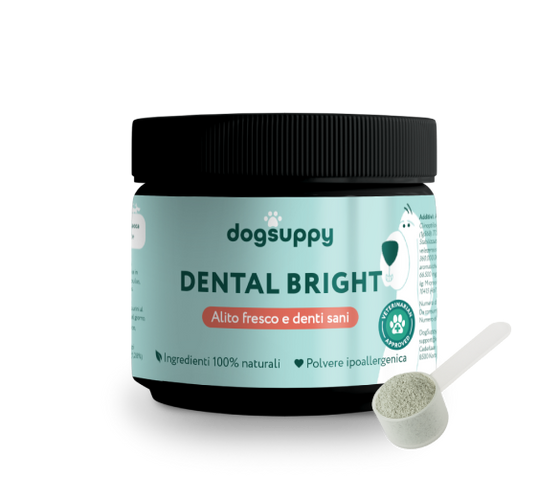 Dental Bright™