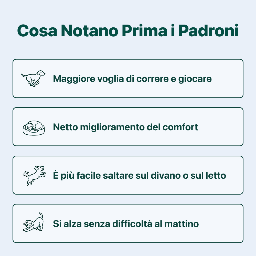 Ossa & Articolazioni | 100% Naturale | 60 integratori