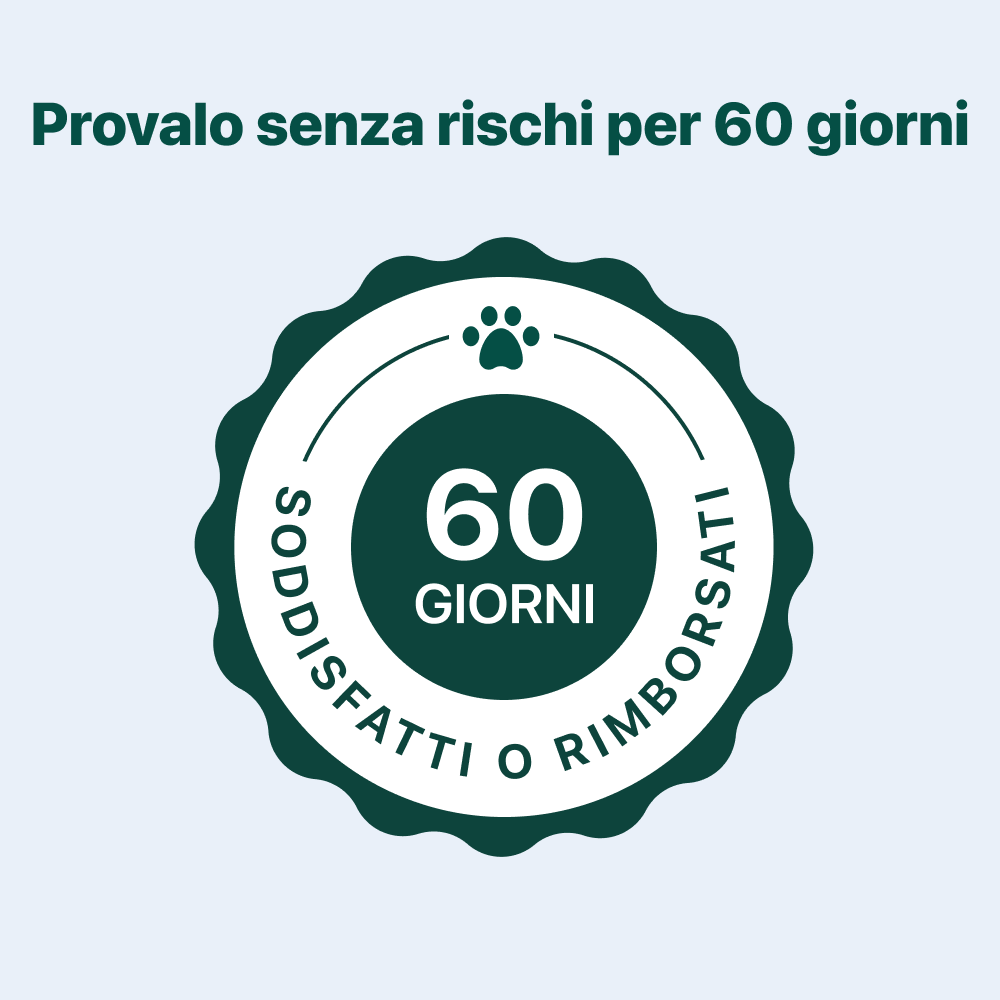 Dental Bright Offerta | Polvere 100% Naturale | 60 dosi