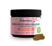 Sollievo Ghiandole
