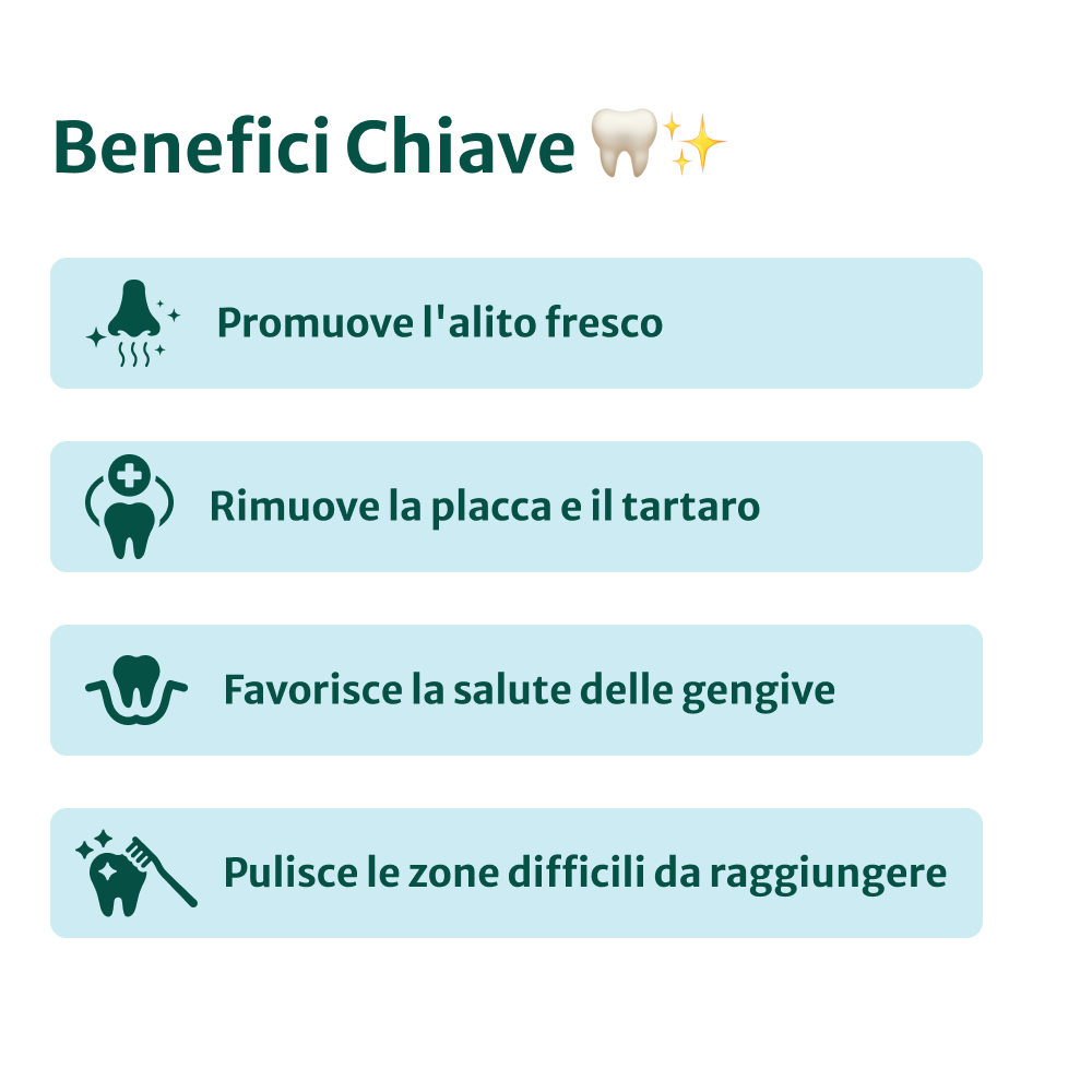 Dental Sticks Clean Bite | 100% naturali | 5 bastoncini per confezione🌿