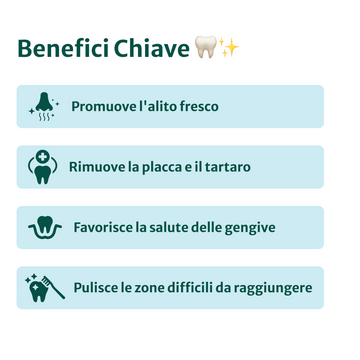 Dental Sticks Clean Bite | 100% naturali | 5 bastoncini per confezione🌿