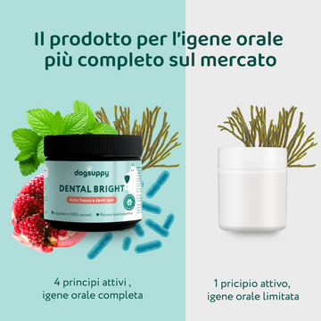 Dental Bright | Polvere 100% Naturale | 60 dosi🌿