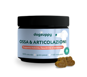 Ossa & Articolazioni