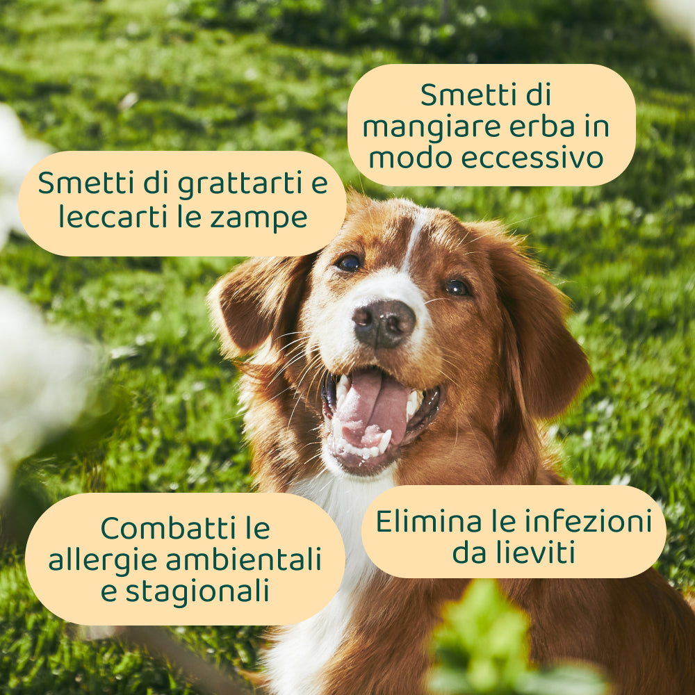 Sollievo Prurito | 100% Naturale | 60 integratori🌿