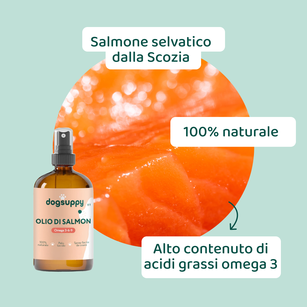 Olio di Salmone🌿