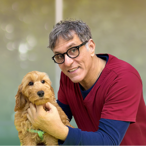 Leo Petrella