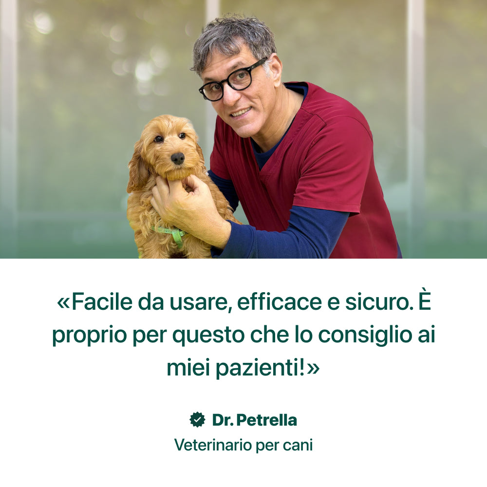Dental Bright Offerta | Polvere 100% Naturale | 60 dosi